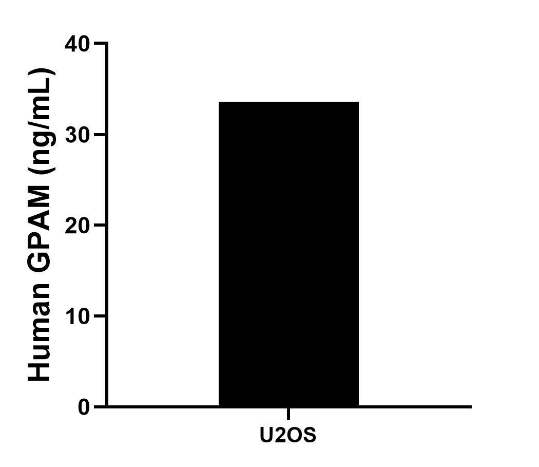 Sample test of MP00994-3